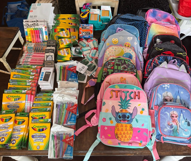 Northern Mentors Banner 